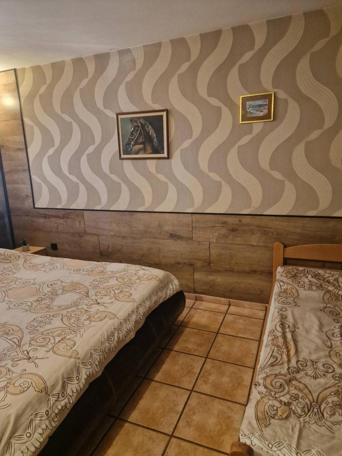 Guest House Maja Νόβι Σαντ Εξωτερικό φωτογραφία