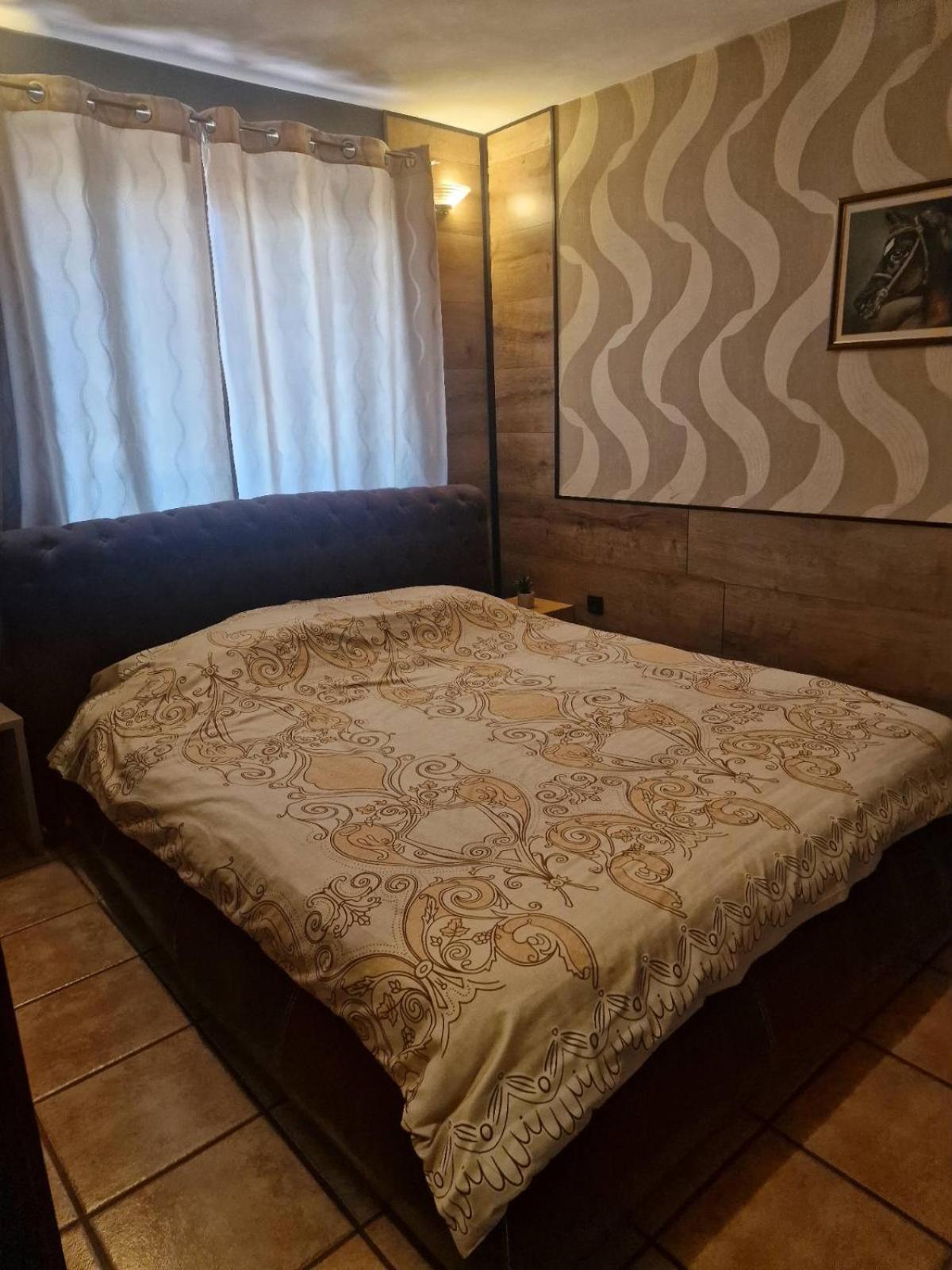 Guest House Maja Νόβι Σαντ Εξωτερικό φωτογραφία